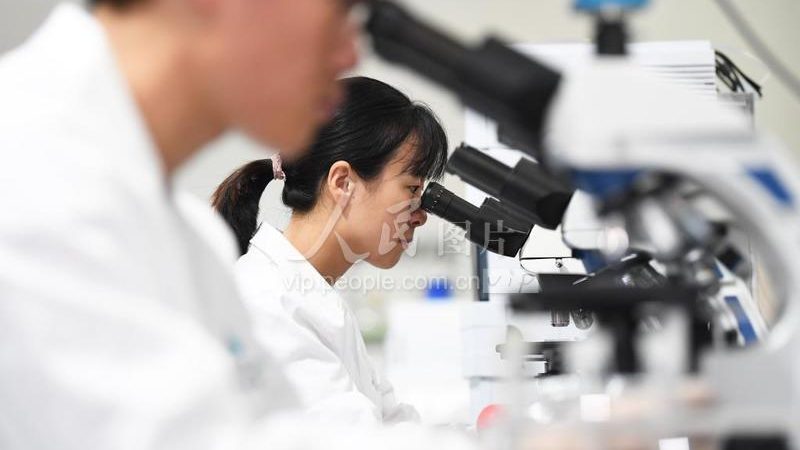 在众多北京CRO软件公司中，以下几家公司值得关注：