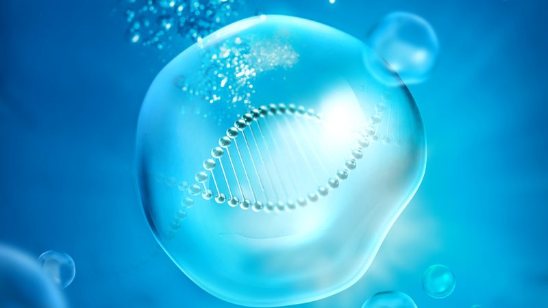 引物合成与HPLC纯化：揭秘精准合成背后的技术奥秘**