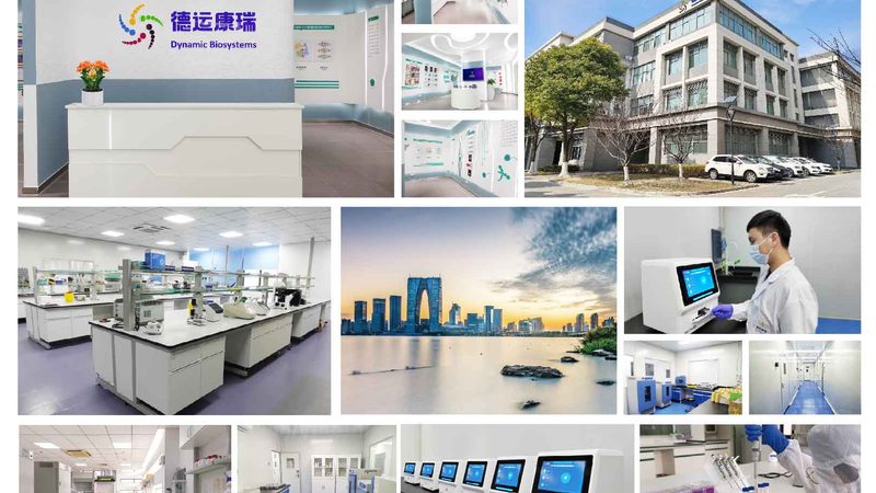 揭秘生物试剂定制服务周期：从设计到交付的幕后旅程
