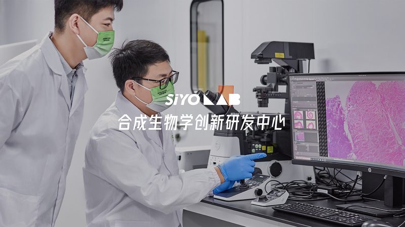 精准定量，高效检测——揭秘定量PCR专用移液器**