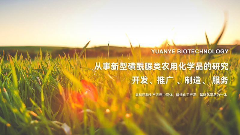 成都酵素和酶代理加盟：揭秘背后的行业秘密