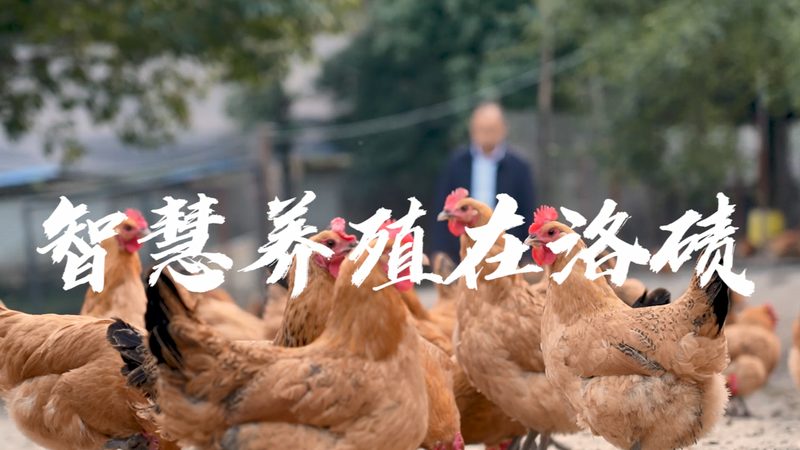 细胞培养基：揭秘种类分类与关键应用场景