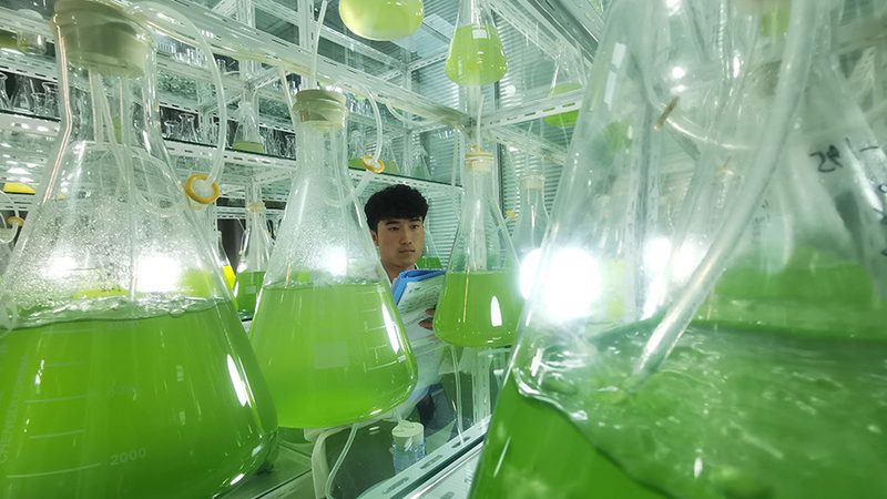 引物合成长度如何影响GC含量？揭秘引物合成关键因素